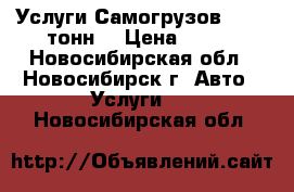 Услуги Самогрузов 3 – 5 тонн. › Цена ­ 900 - Новосибирская обл., Новосибирск г. Авто » Услуги   . Новосибирская обл.